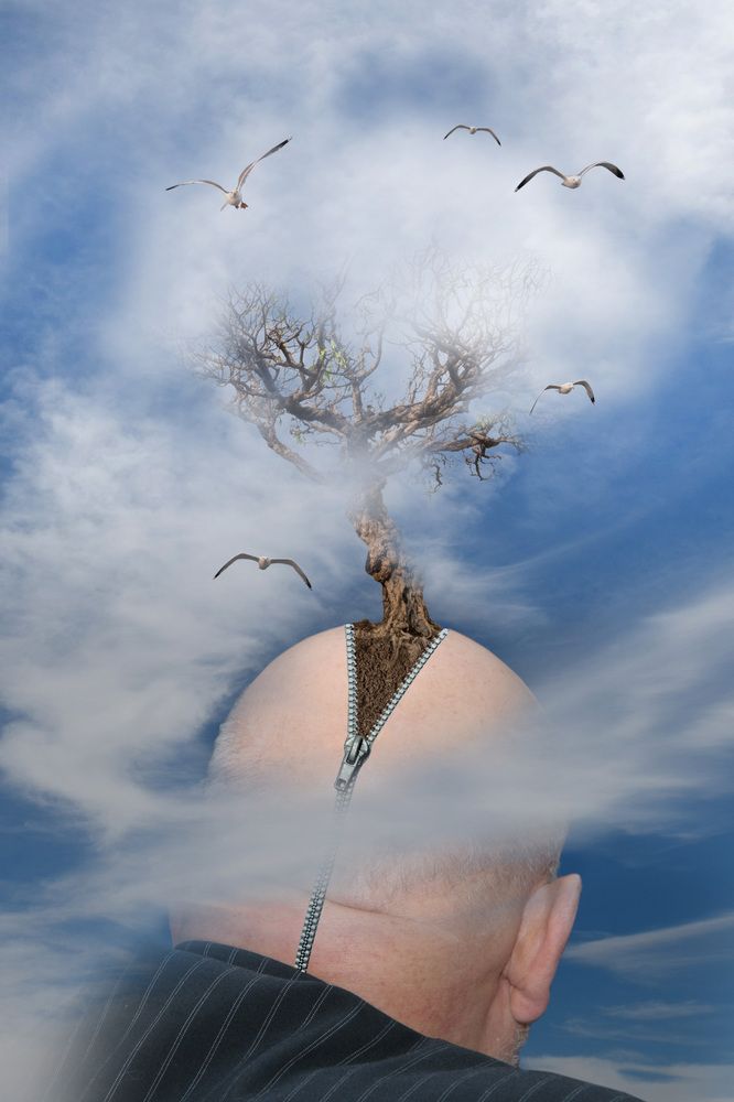 Photograph by Светлана