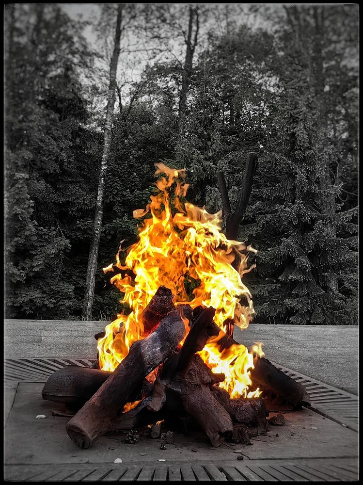 Photograph by Roman Kalinichev