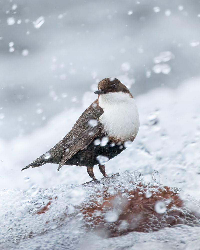 Photograph by Matsvei