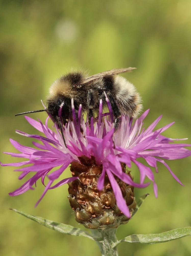 Photograph by Рина Серёгина