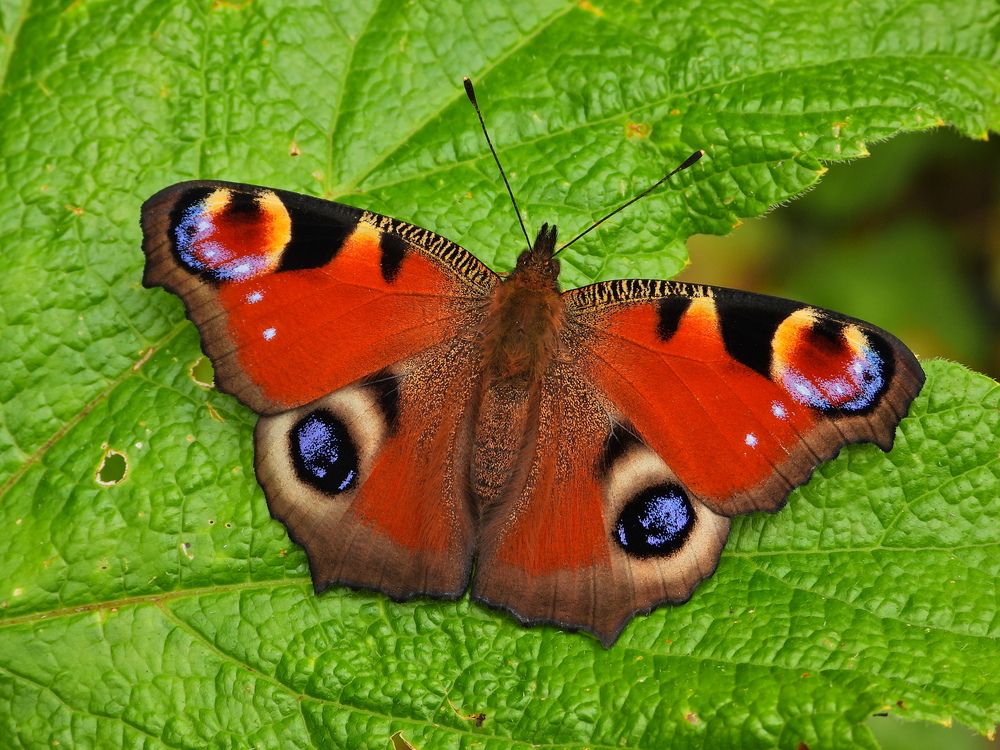 Photograph by Дмитрий Юдин