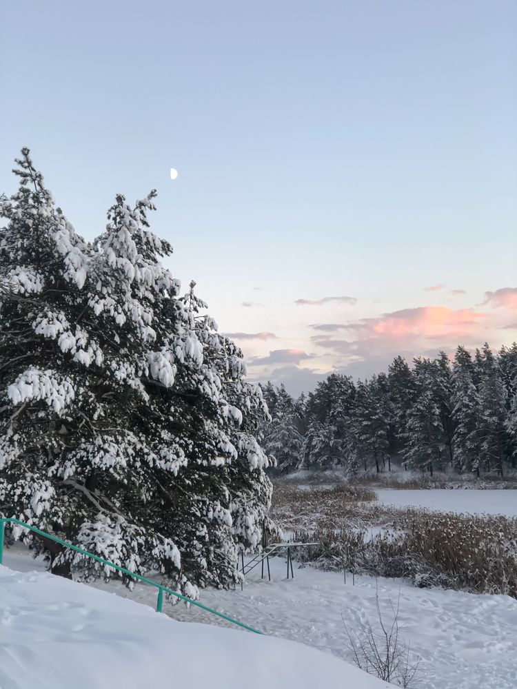 Photograph by Светлана Долганова