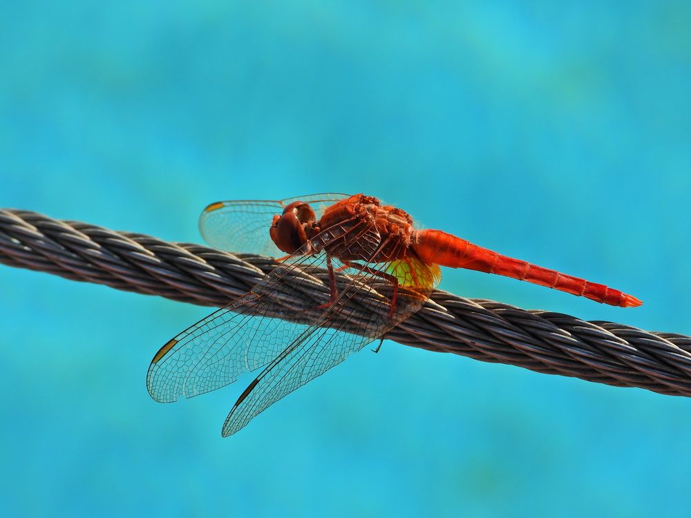 Photograph by Дмитрий Юдин