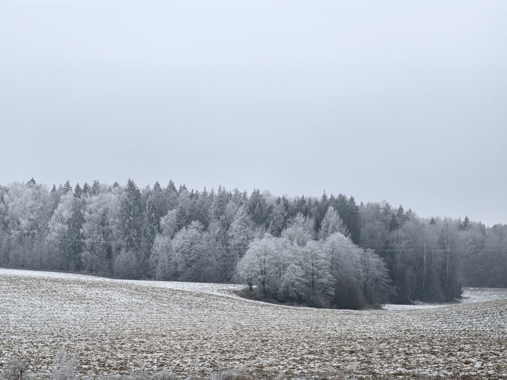 Photograph by Veranika Siratsinina