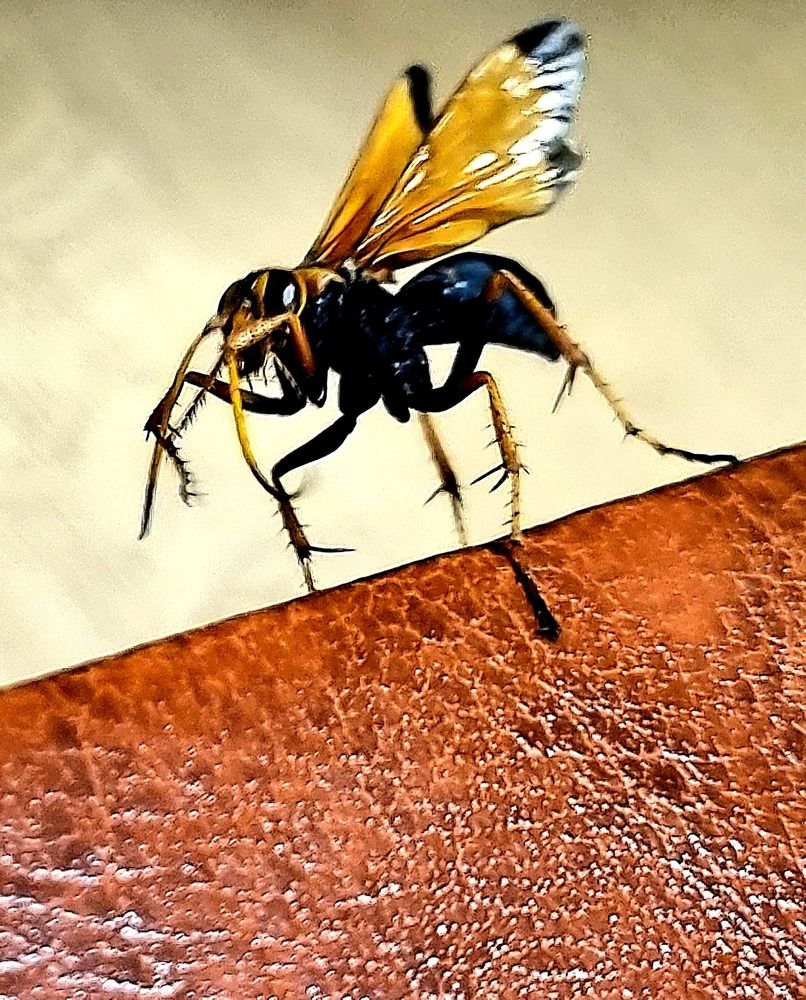 Photograph by Nidhi Singh