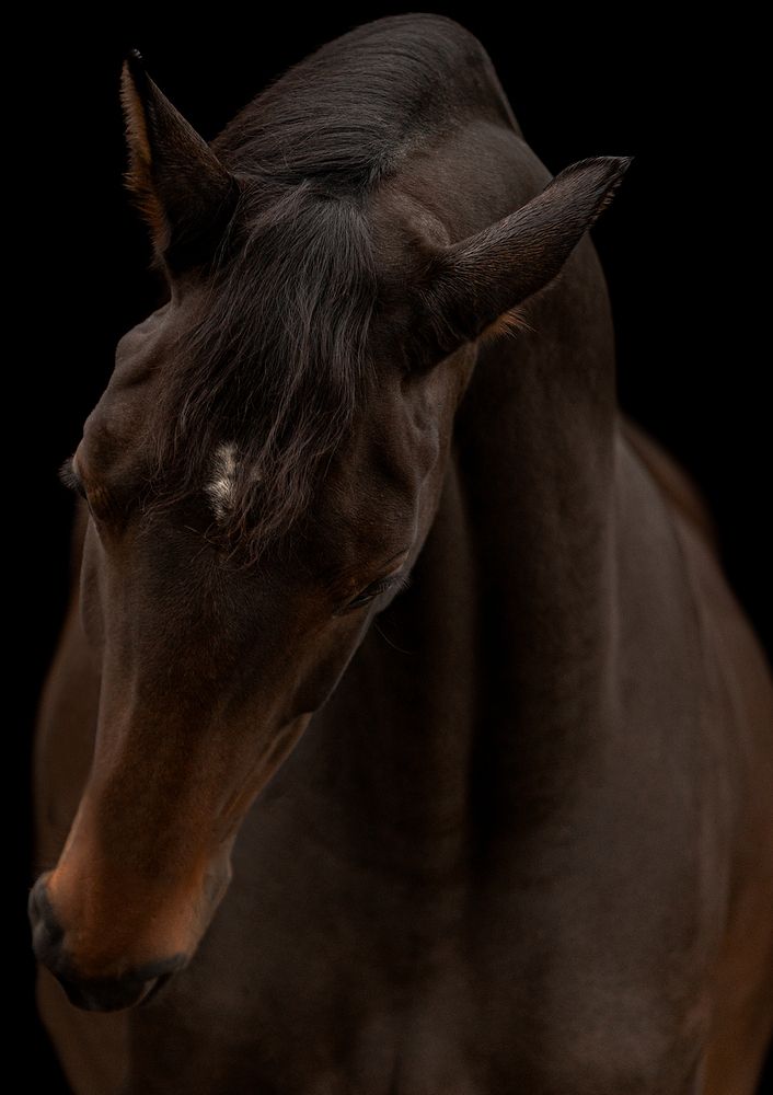 Photograph by Марина