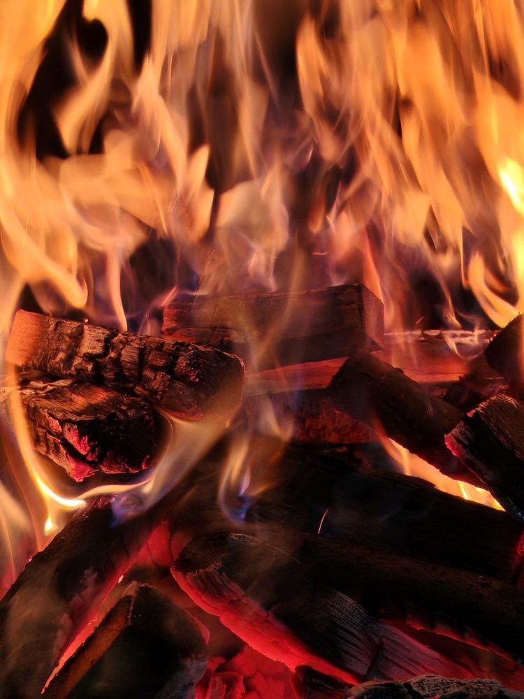 Фотография автора Georgii Eletskikh