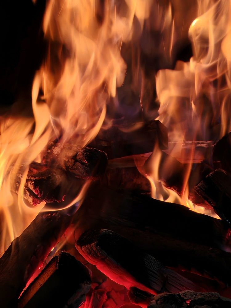 Фотография автора Georgii Eletskikh