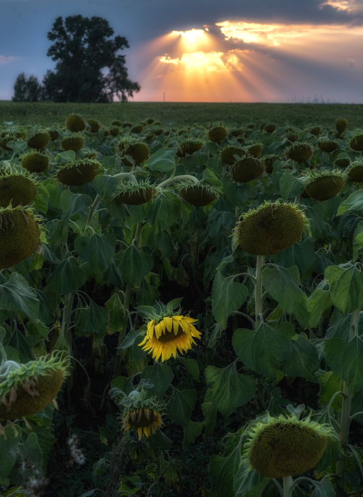 Photograph by Тамара Андреева