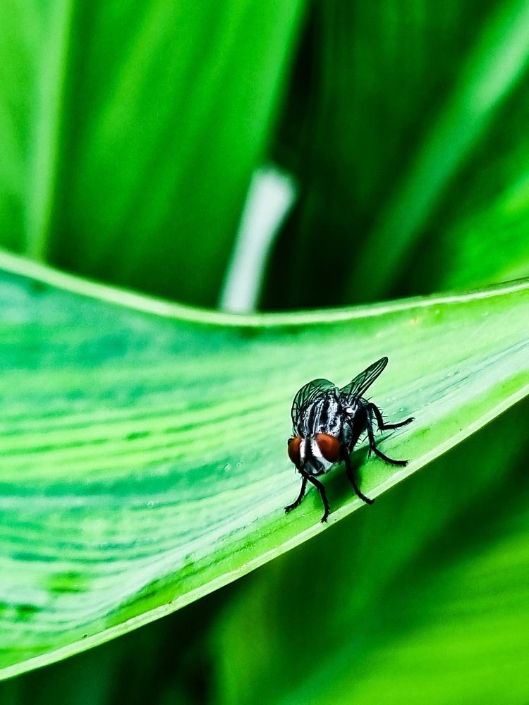 Photograph by Nidhi Singh