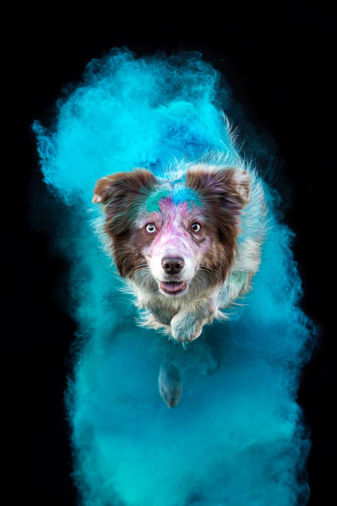 Фотография автора Екатерина Киреева