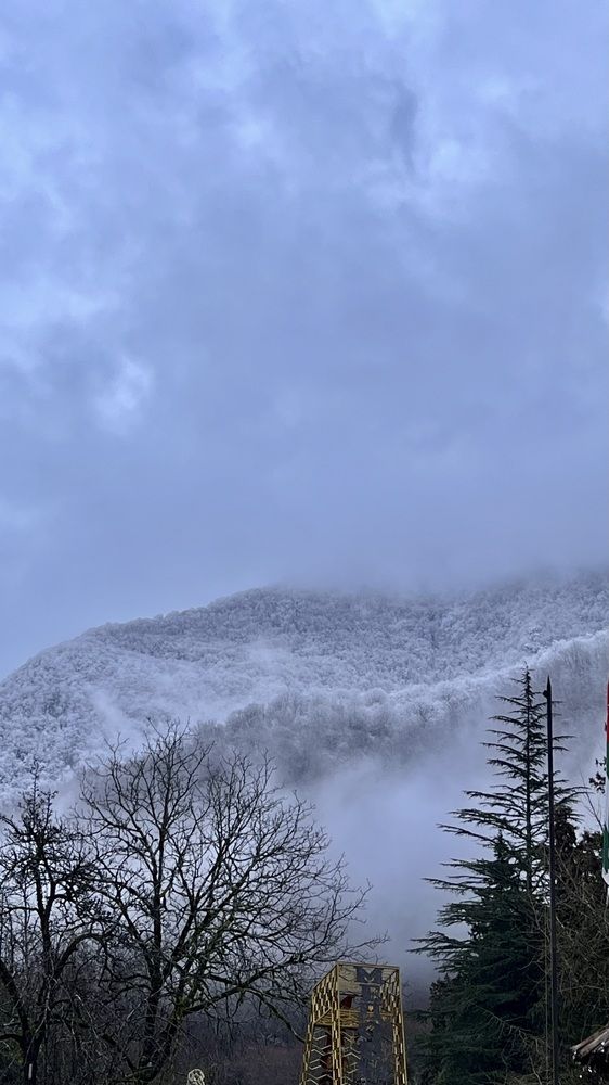 Photograph by Елена Мизина