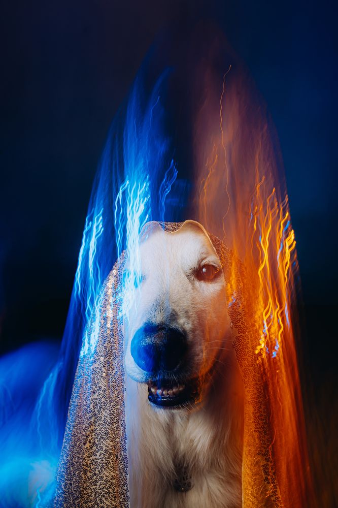 Фотография автора Екатерина Киреева