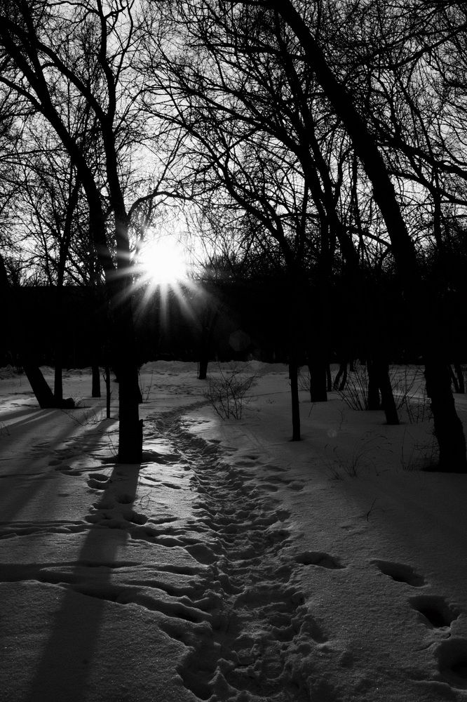 Photograph by Яна Истоцкая