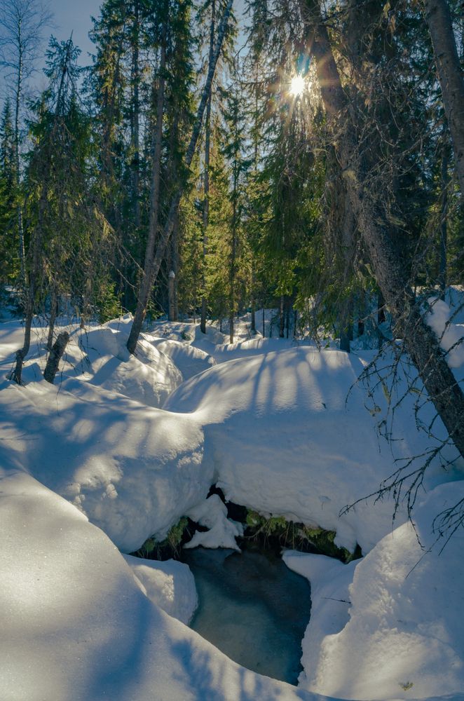 Photograph by Денис Рокин