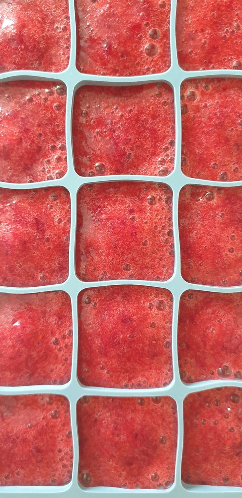 Фотография автора Татьяна Зарипова