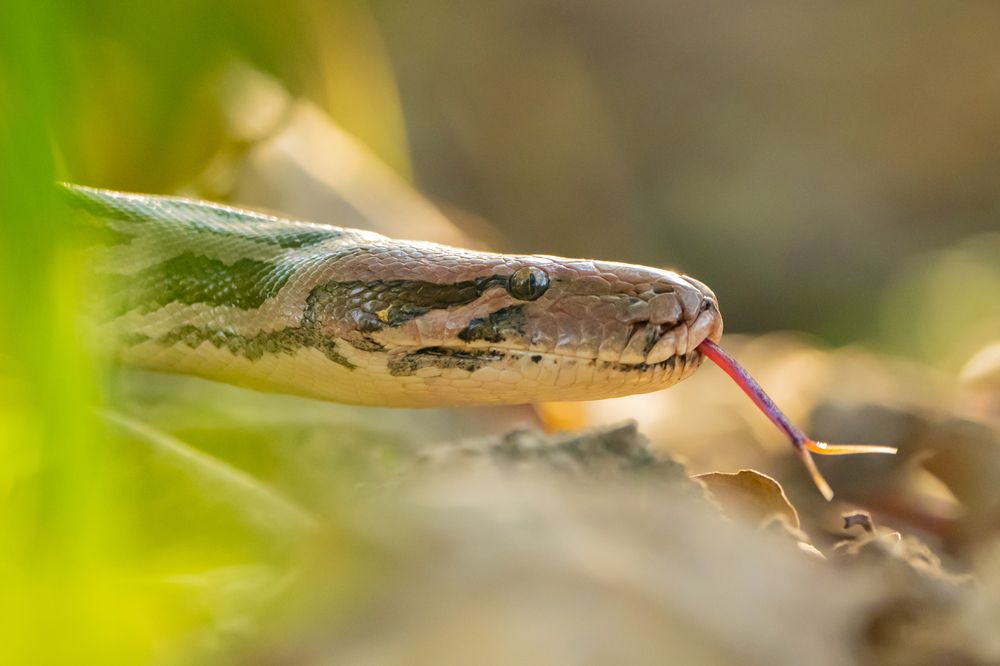 Photograph by Sameer Bhalekar