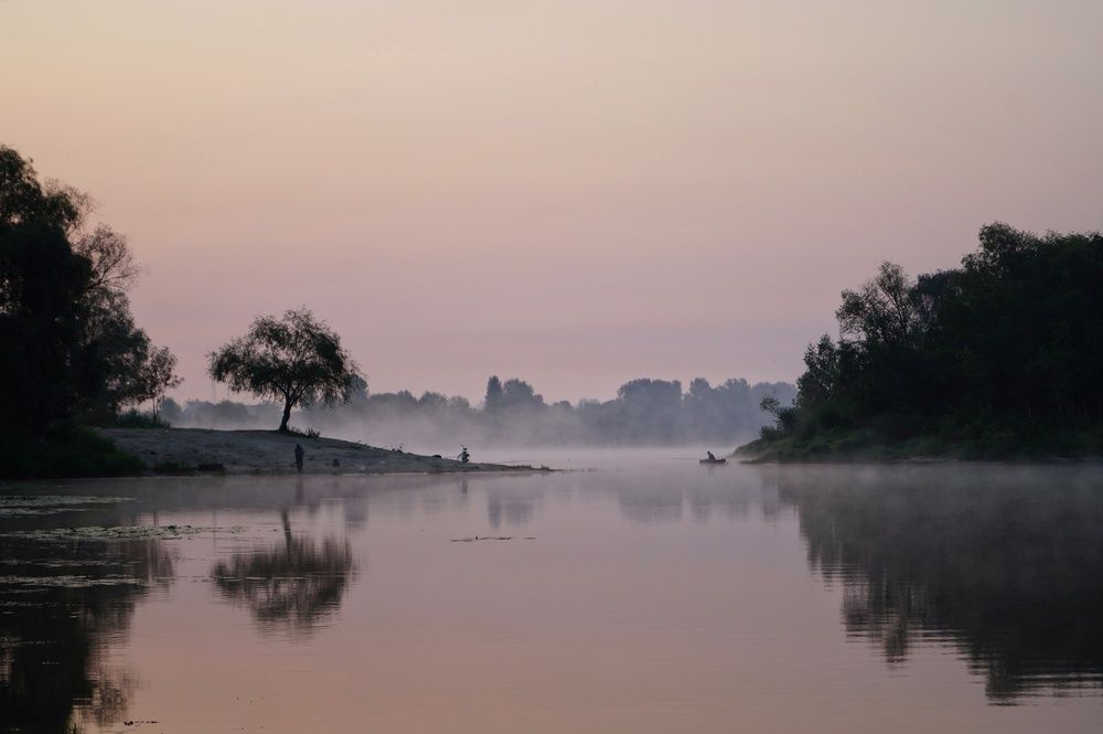 Фотография автора Татьяна Борисенко