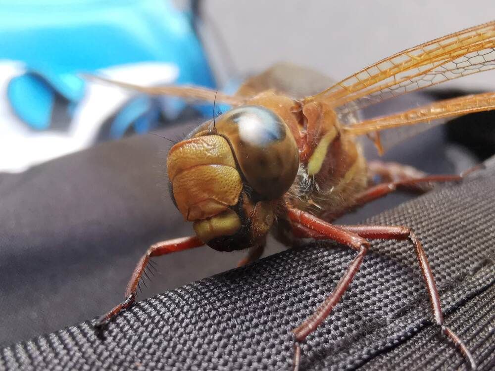 Фотография автора Aliaksandr Kazhdan