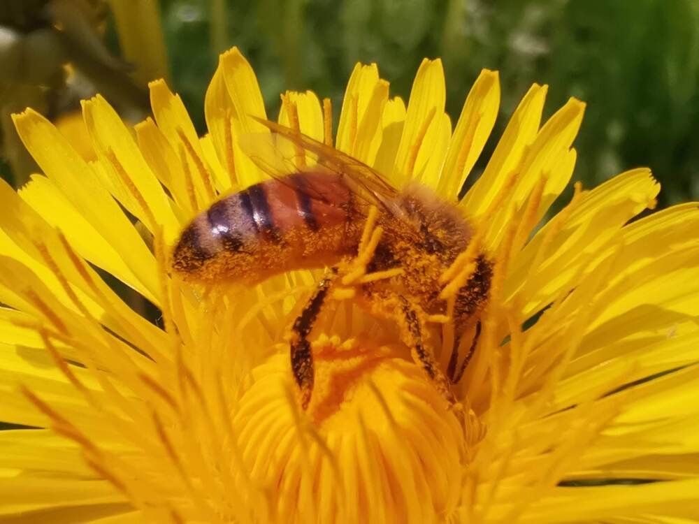 Фотография автора Aliaksandr Kazhdan