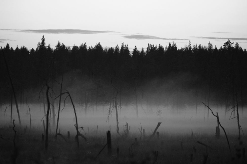 Photograph by Полина Зайцева