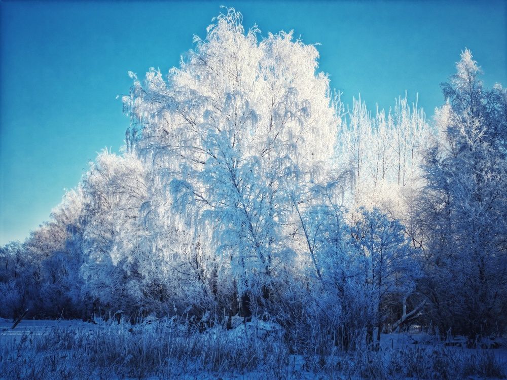 Photograph by Инна Мухина