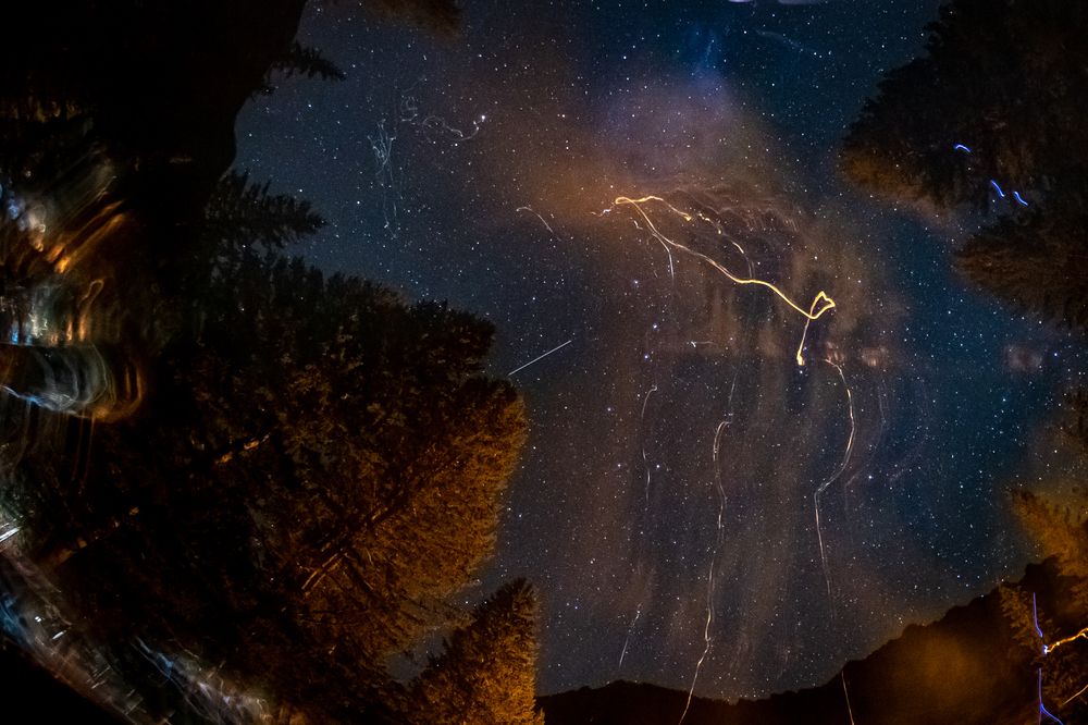 Photograph by Ксения Попова