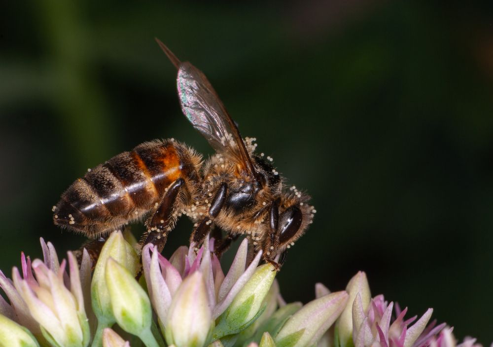 Photograph by Римма Волченко
