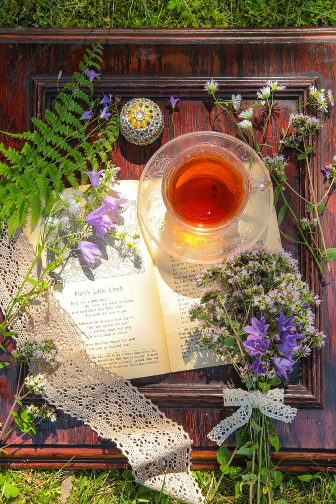 Photograph by Бекетова Ольга