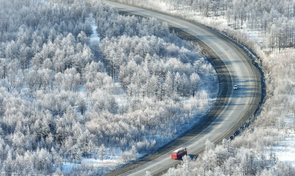 Дорога в зимнюю  сказку
