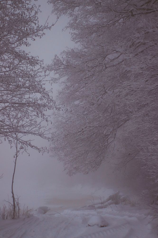 Фотография автора Dementyev Evgeniy