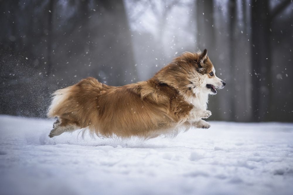 Photograph by Александра Пугачёва