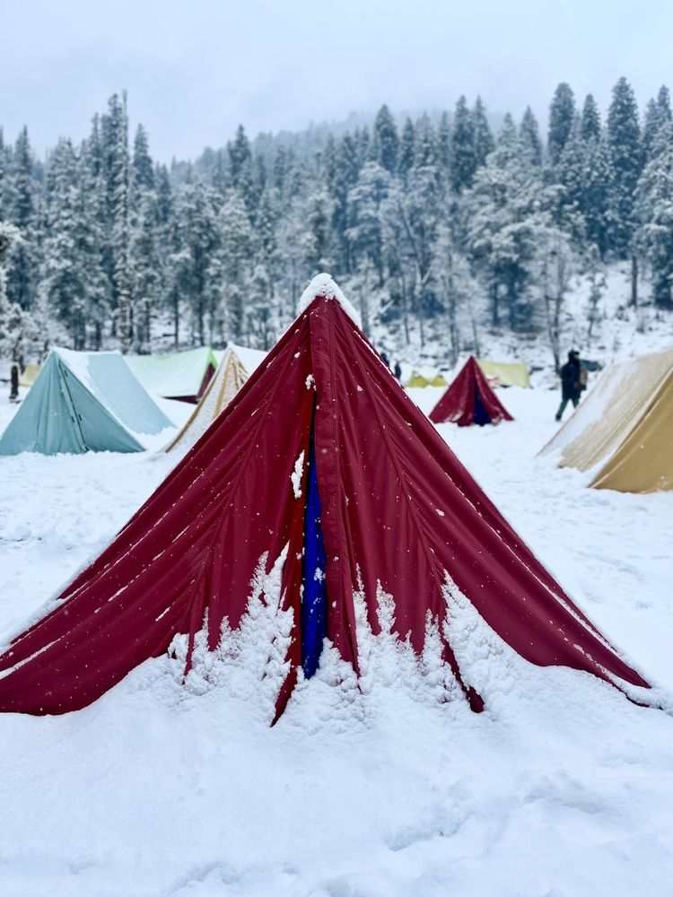 Photograph by KANHAIYA YADAV