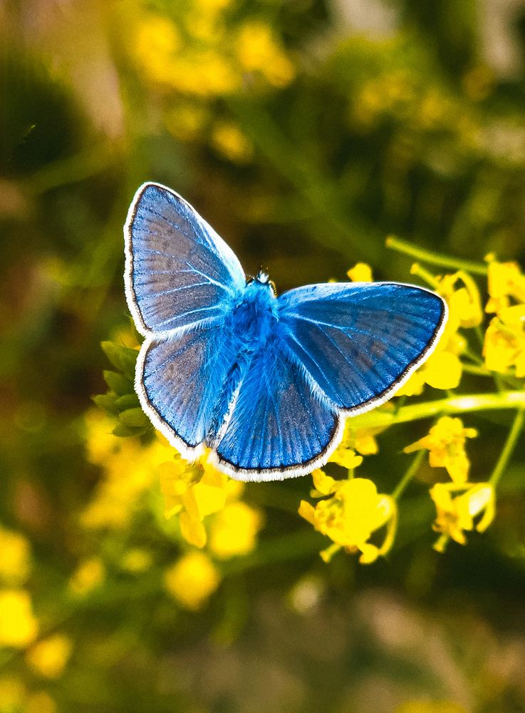 Photograph by Владислав Моисеев