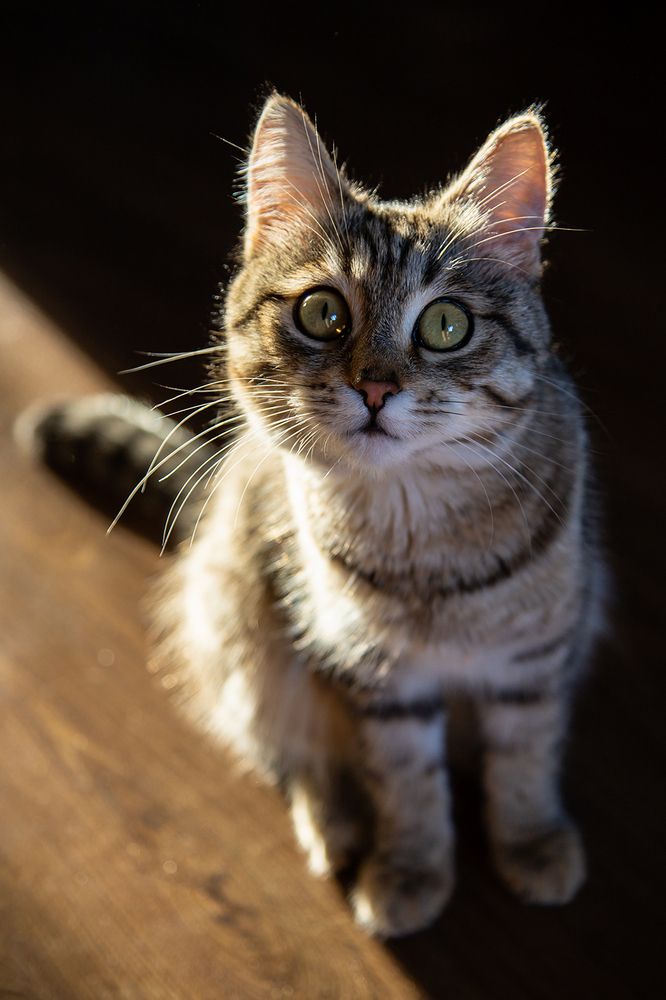 Photograph by Юлия Ташлыцкая