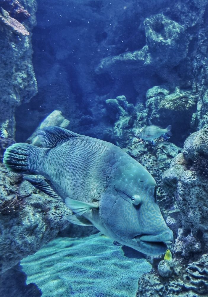 Photograph by Shorouq Mahdi