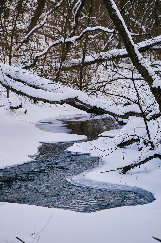 Photograph by Сергей Кравченко