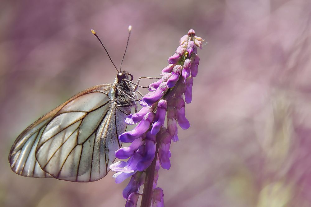 Фотография автора Марина Юдинских