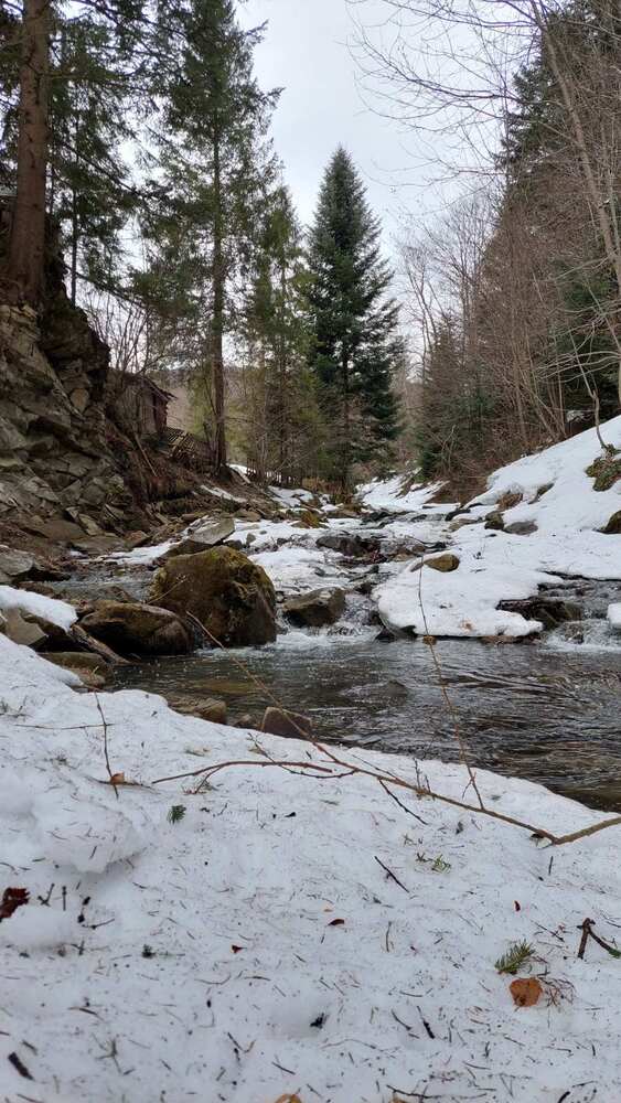 Photograph by Svitlana Usatenko