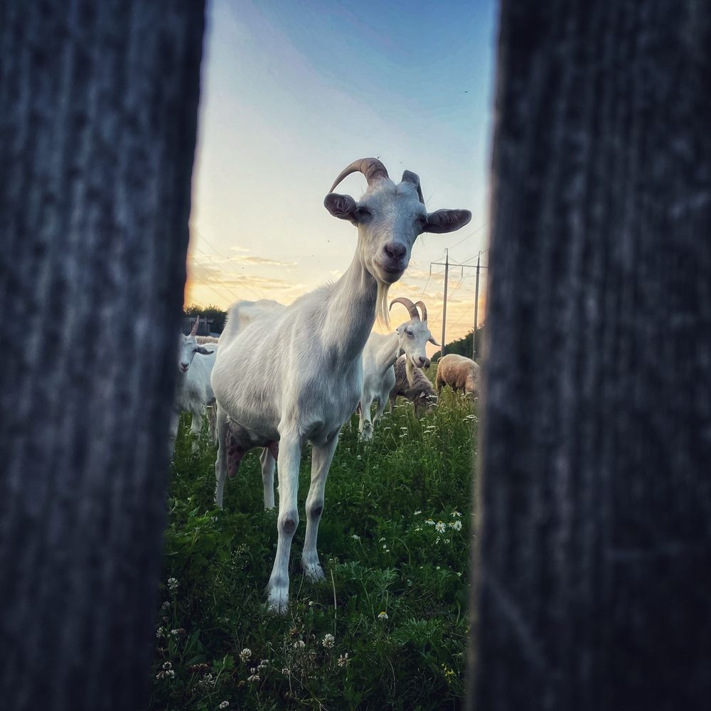 Photograph by Артемий