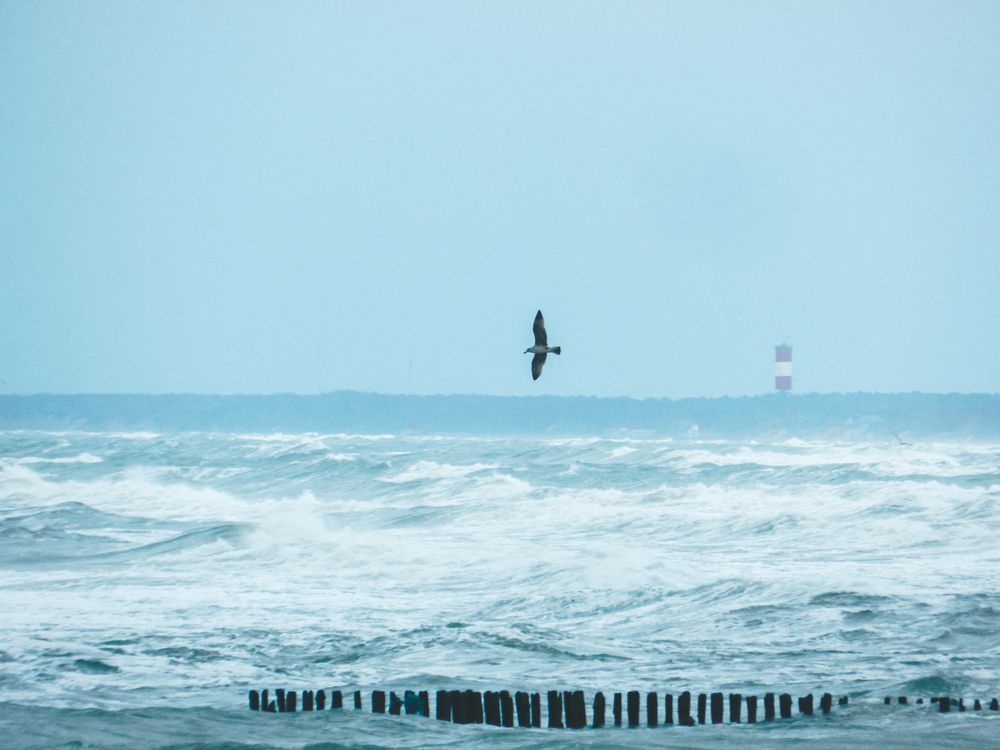 Photograph by Tanya Nikorovskaya