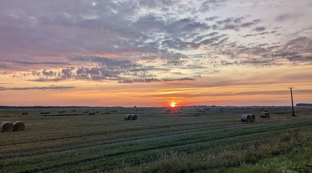 Фотография автора Никита Кизевич
