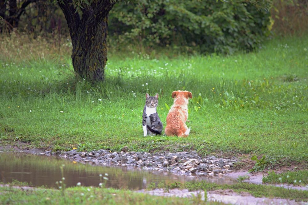 Photograph by Николай Круглов