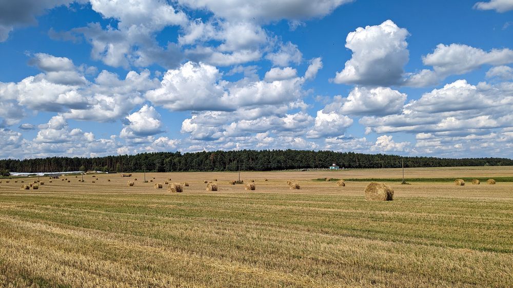 Фотография автора Никита Кизевич