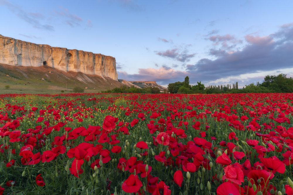 Photograph by Юлия Мальцева