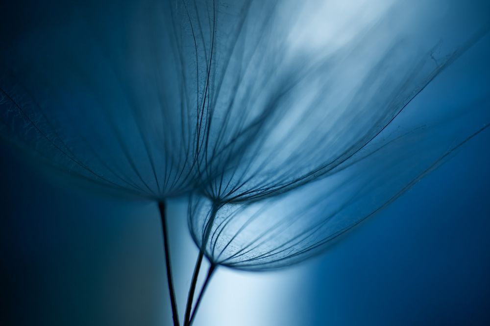 Photograph by Анна Бобкова