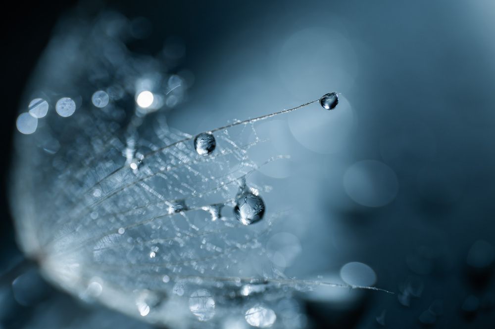 Photograph by Анна Бобкова