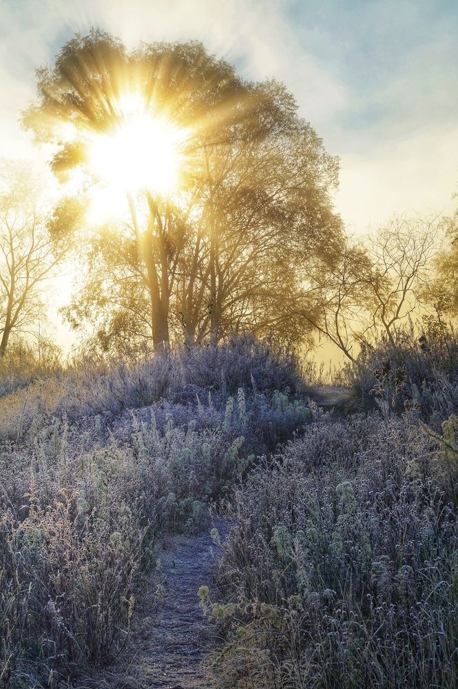 Первый иней в октябре 2024г