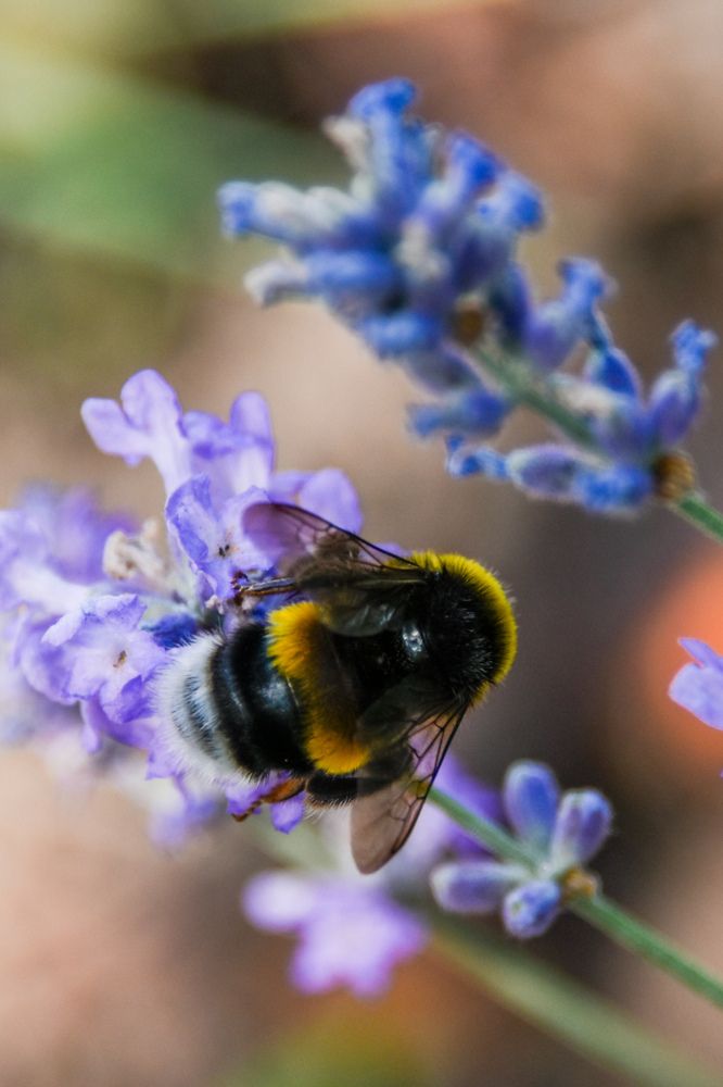 Photograph by Светлана Войта