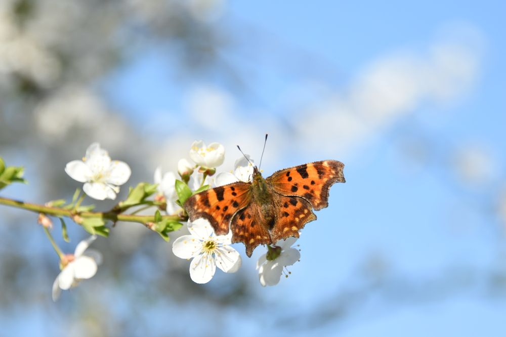 Photograph by Светлана Войта
